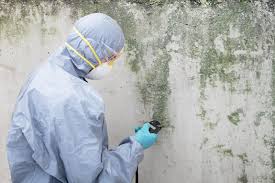 Best Post-Construction Mold Inspection  in Arlington, OH